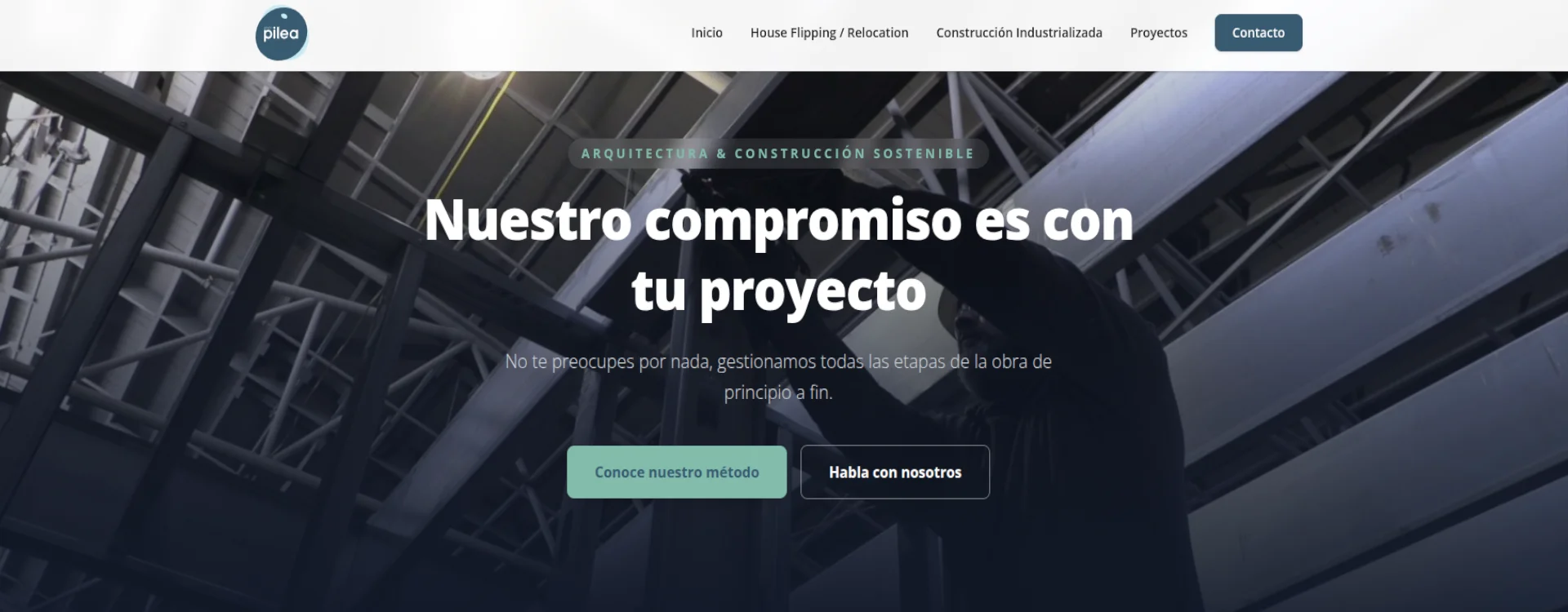 Preview Grupo Pilea