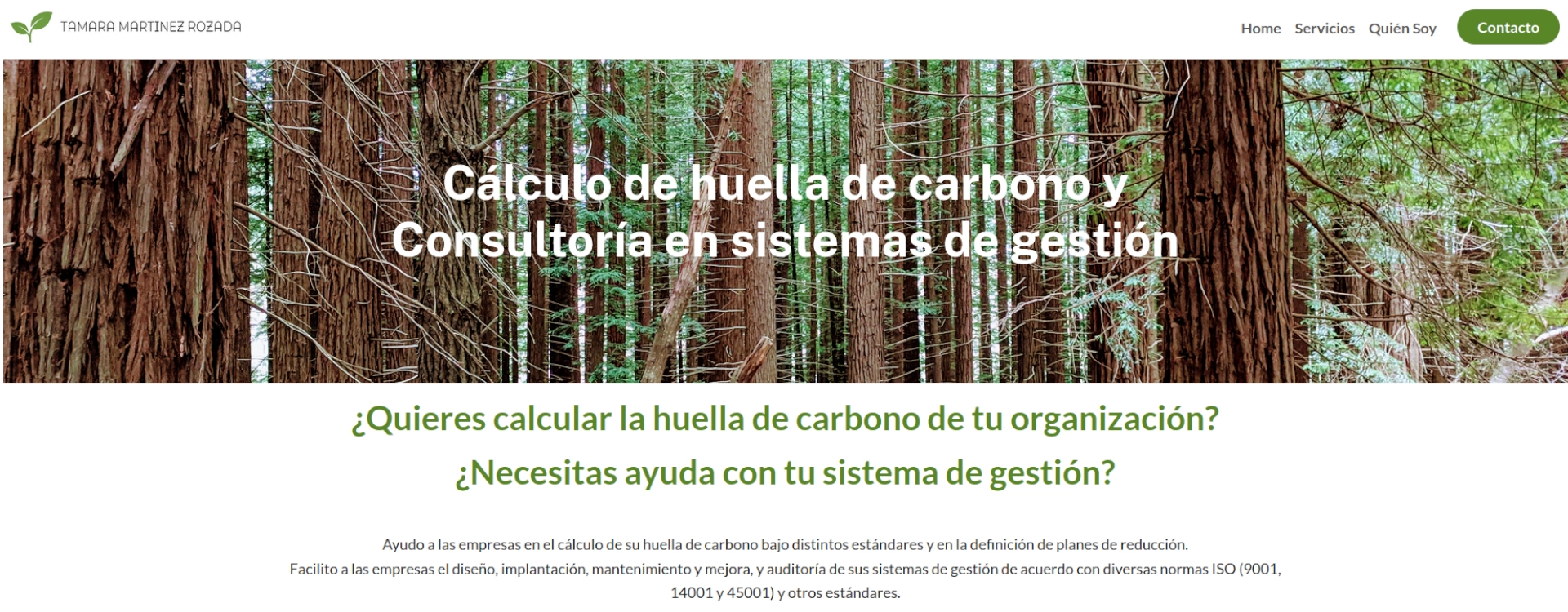 Preview Servicios y contacto